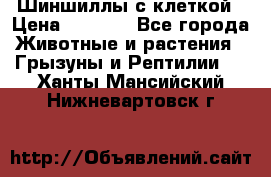 Шиншиллы с клеткой › Цена ­ 8 000 - Все города Животные и растения » Грызуны и Рептилии   . Ханты-Мансийский,Нижневартовск г.